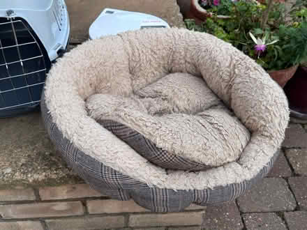 Photo of free Cat equipment. All you’ll need (Cambridge/Royston) #3