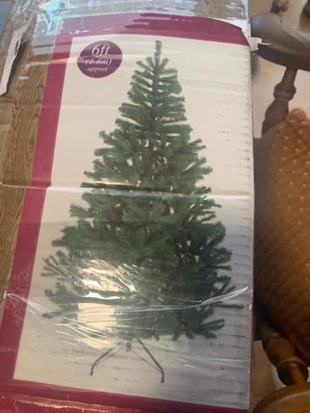 Photo of free Xmas tree (S8 off Derbyshire lane) #1