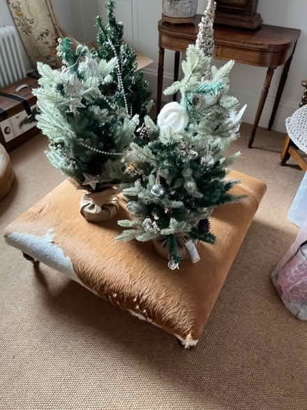 Photo of free 3 Christmas trees – app 70 cm high (Grove Rd Windsor SL4) #3