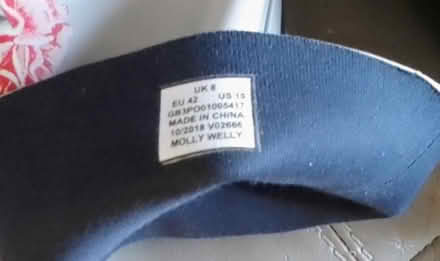 Photo of free Ladies wellies (Hounslow TW4 6Ba) #2