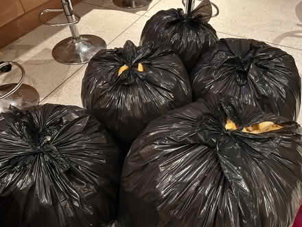Photo of free Foam bean bag filling (Fulham) #3