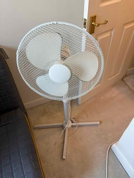 Photo of free Pedestal fan (RG1) #1