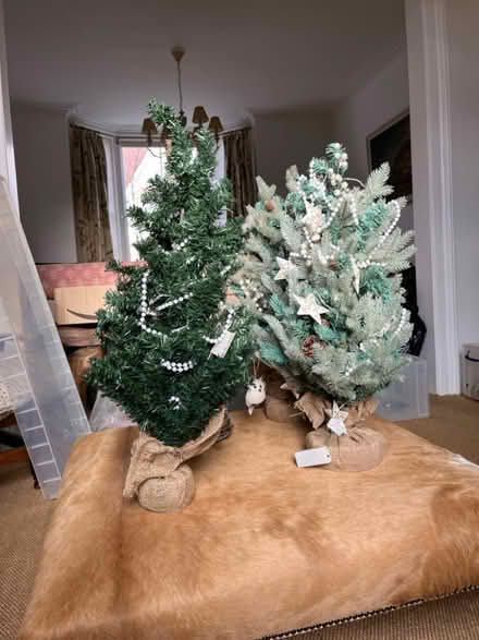 Photo of free 3 Christmas trees – app 70 cm high (Grove Rd Windsor SL4) #1