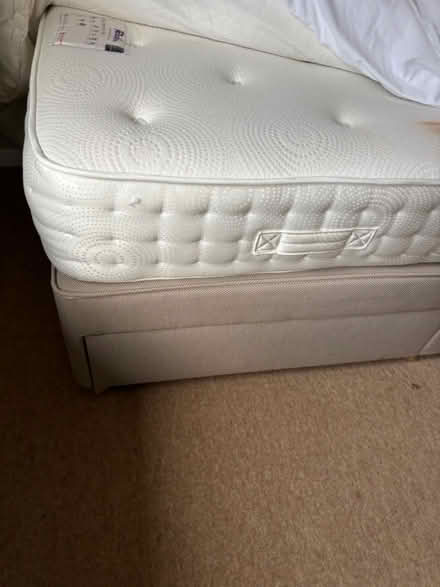 Photo of free Single bed (UpperHale GU9) #2