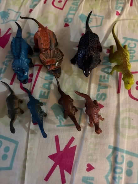 Photo of free 8 Diansours (Westbury BA13) #1