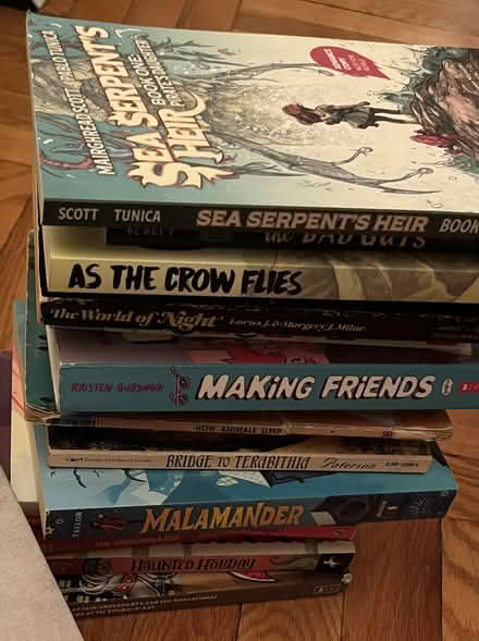 Photo of free 2 bags of children's books (Kensington Brooklyn) #2