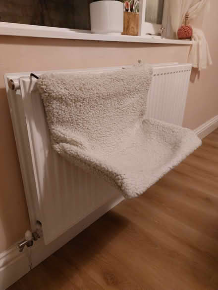Photo of free Radiator cat bed (Southsea PO4) #1
