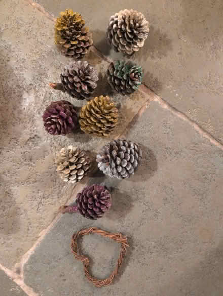 Photo of free Large Glitter pine cones (HR1) #1