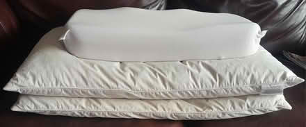 Photo of free 3 pillows to go together preferably (Burgess hill) #1