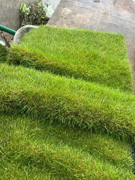 Photo of free Xeris Lawn Turf - best variety (Clapham South SW12) #1