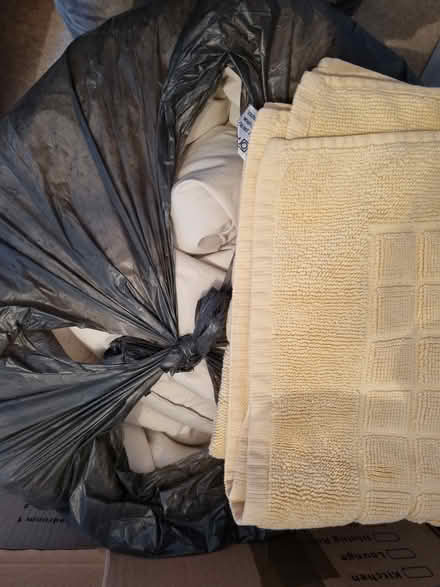 Photo of free Feather duvet & mattress topper (CB4 3) #1