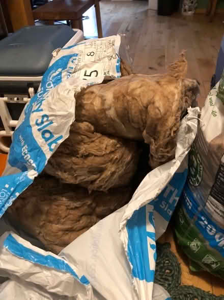 Photo of free Insulation (Olive Mount L15) #3