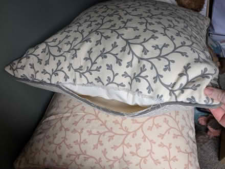 Photo of free 4 Goose feather cushions (Bristol North / Stoke Gifford) #2