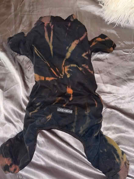 Photo of free Dog onesie (Clason Point Bronx NY) #1
