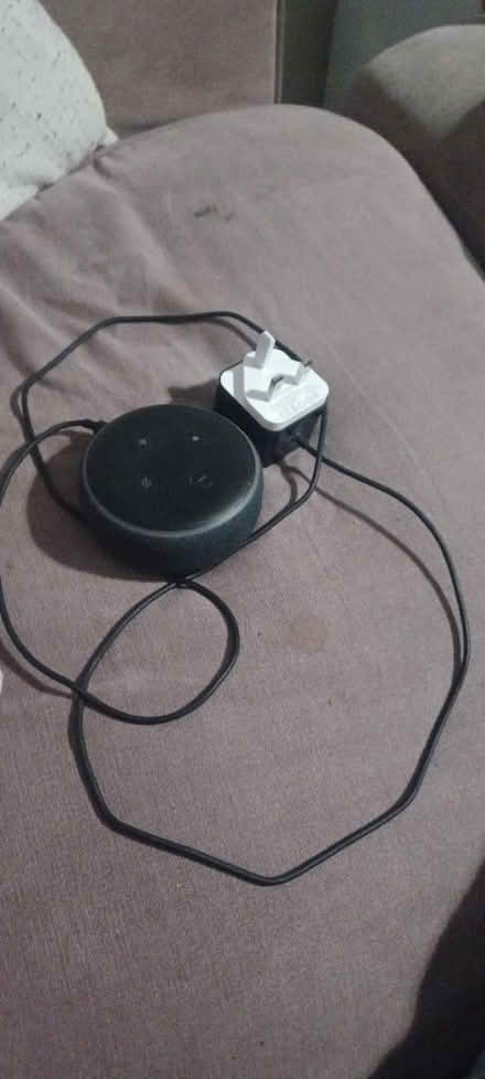 Photo of free Alexa (Leicester, LE3) #1