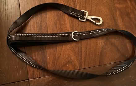 Photo of free Black Cat/Dog Lead (Stevenage SG1) #1