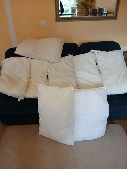 Photo of free Pillows (Bear Flat) #1