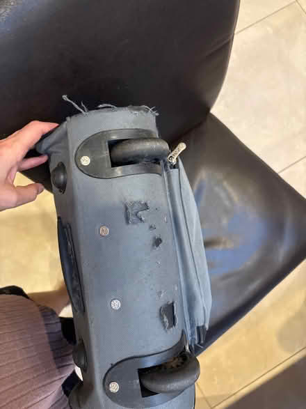 Photo of free Cabin suitcase (bear NOT included) (Southfields SW19) #4