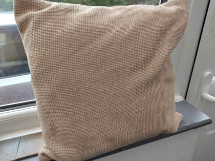 Photo of free 2 cushions 18" square (Lower Crumpsall M8) #1