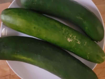 Photo of free Non Organic Produce (Oakland) #1
