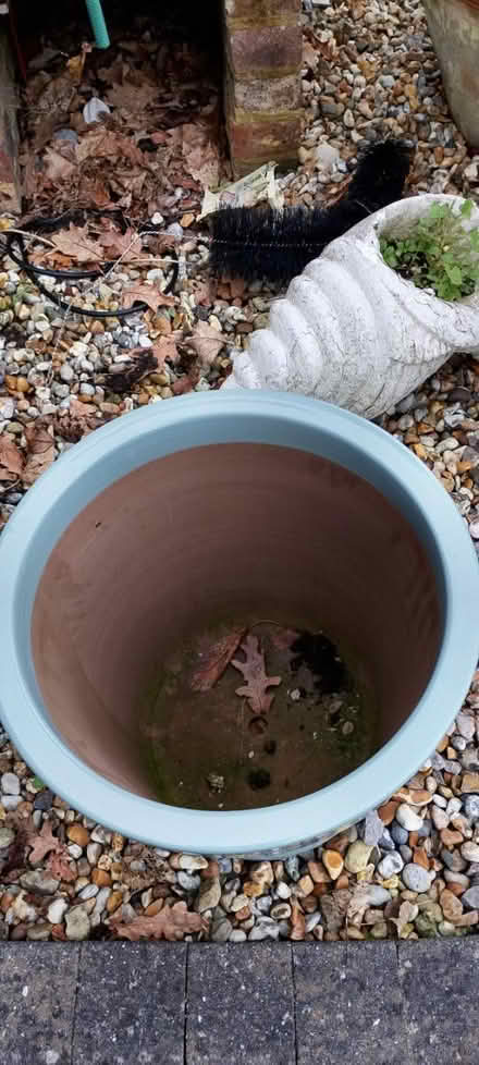 Photo of free Garden planter ( ceramic. ) (Eastbourne BN21 2) #2