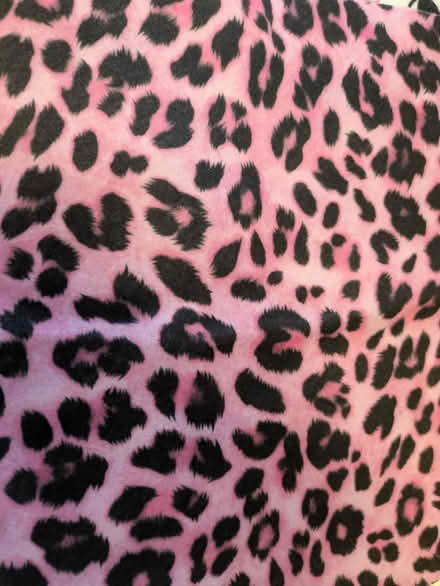 Photo of free 3 new felt pieces ( cat themed ) (Coombe Bissett SP5) #3