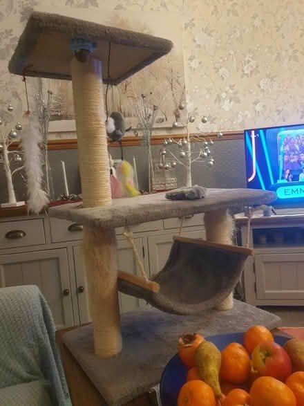 Photo of free Cat scratching post (Chirton, North Shields NE29) #2