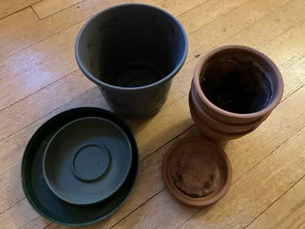 Photo of free Gardening/planting supplies (Cleveland Park) #2