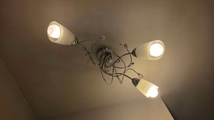 Photo of free Ceiling light x2 (CliftonM,YO30) #1