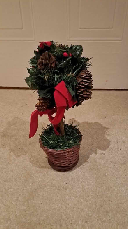 Photo of free Mini Xmas tree 25cm (Winkfield Row RG42) #1
