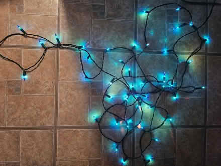 Photo of free Blue Mini Light Strings - 20ft each (paisley and imperial) #1