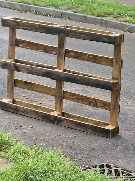 Photo of free Pallet (CT5) #1