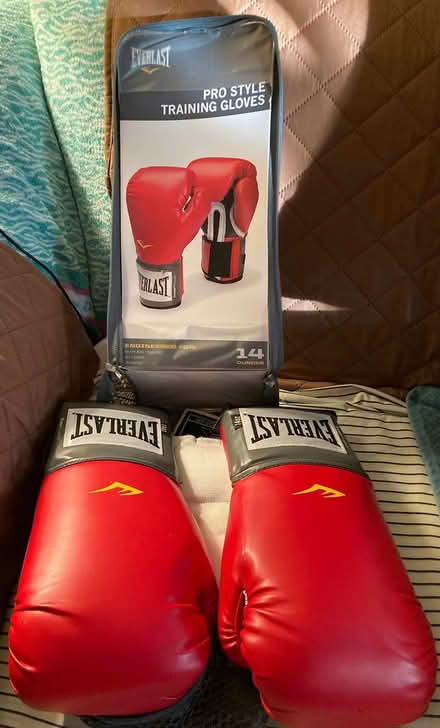 Photo of free 14oz Boxing Gloves (Crown Heights, Brooklyn 11225) #1