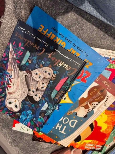 Photo of free Two bags of “good as new” books (berrylands KT5) #1