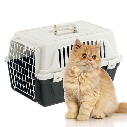 Photo of Cat Carrier (for Eric, who has Opinions) (Bridge of Allan FK9) #1