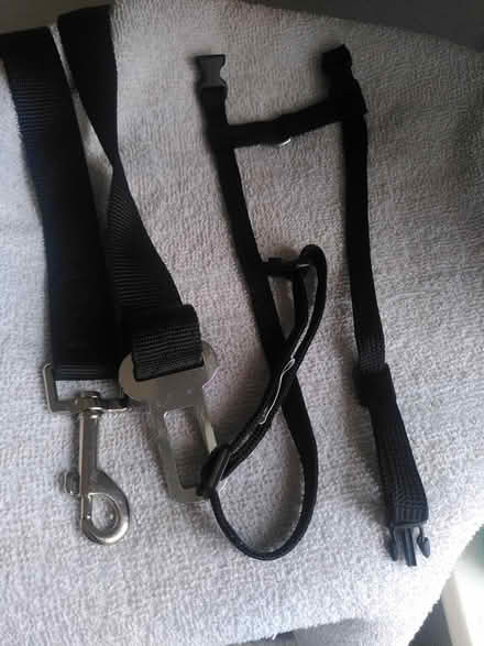 Photo of free Cat harness+ cat/dog car seat lead (Upper Arncott OX25) #1