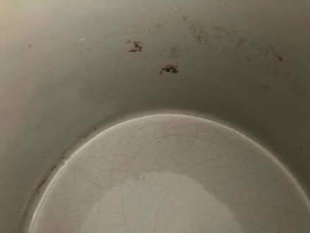 Photo of free Brown/beige plant pot (Lewes BN7) #2