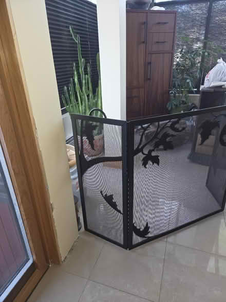 Photo of free Fireplace Screen (Andover) #2