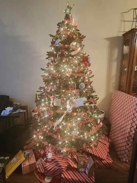 Photo of free Christmas Tree (By N Mines and East Ave) #3