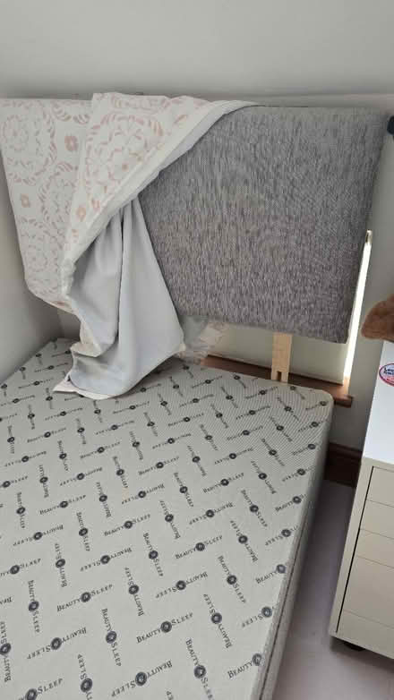 Photo of free Single bed (CT5) #2