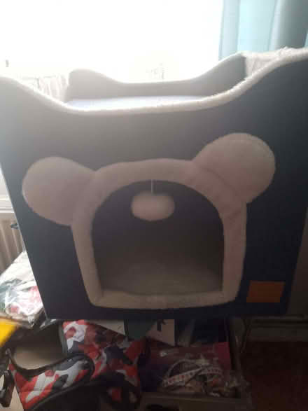 Photo of free Catism cat bed (Mousehold NR3) #1