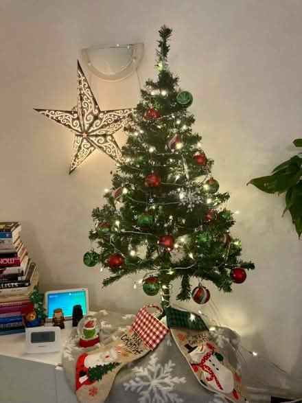 Photo of free Small Christmas tree (RG12 8UJ) #1
