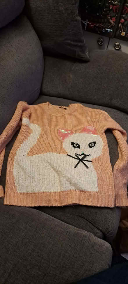 Photo of free Girls cat jumper (AB16) #1