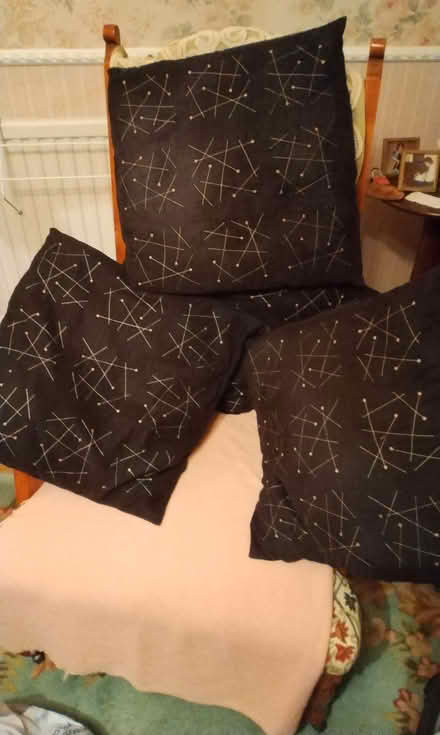 Photo of free Four black cushions (Barford CV35) #1