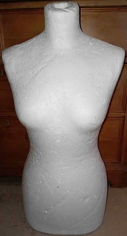 Photo of free Taylors dummy/prop - Polystyrene (Burnham) #1