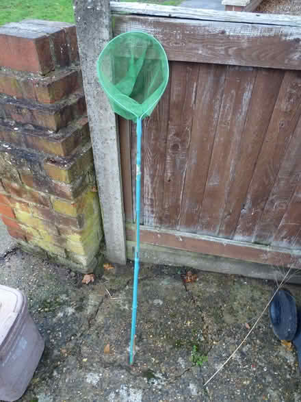 Photo of free kids pond/stream net (Tolworth KT5) #1