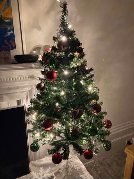 Photo of free Small Christmas tree (RG12 8UJ) #2