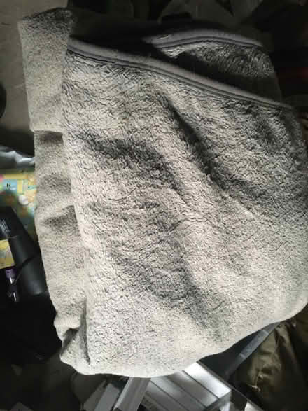 Photo of free 2 Medium Dog Beds and Large Throw (Lexden CO3) #1