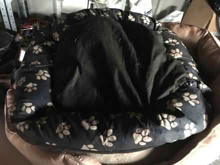 Photo of free 2 Medium Dog Beds and Large Throw (Lexden CO3) #2