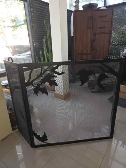 Photo of free Fireplace Screen (Andover) #3
